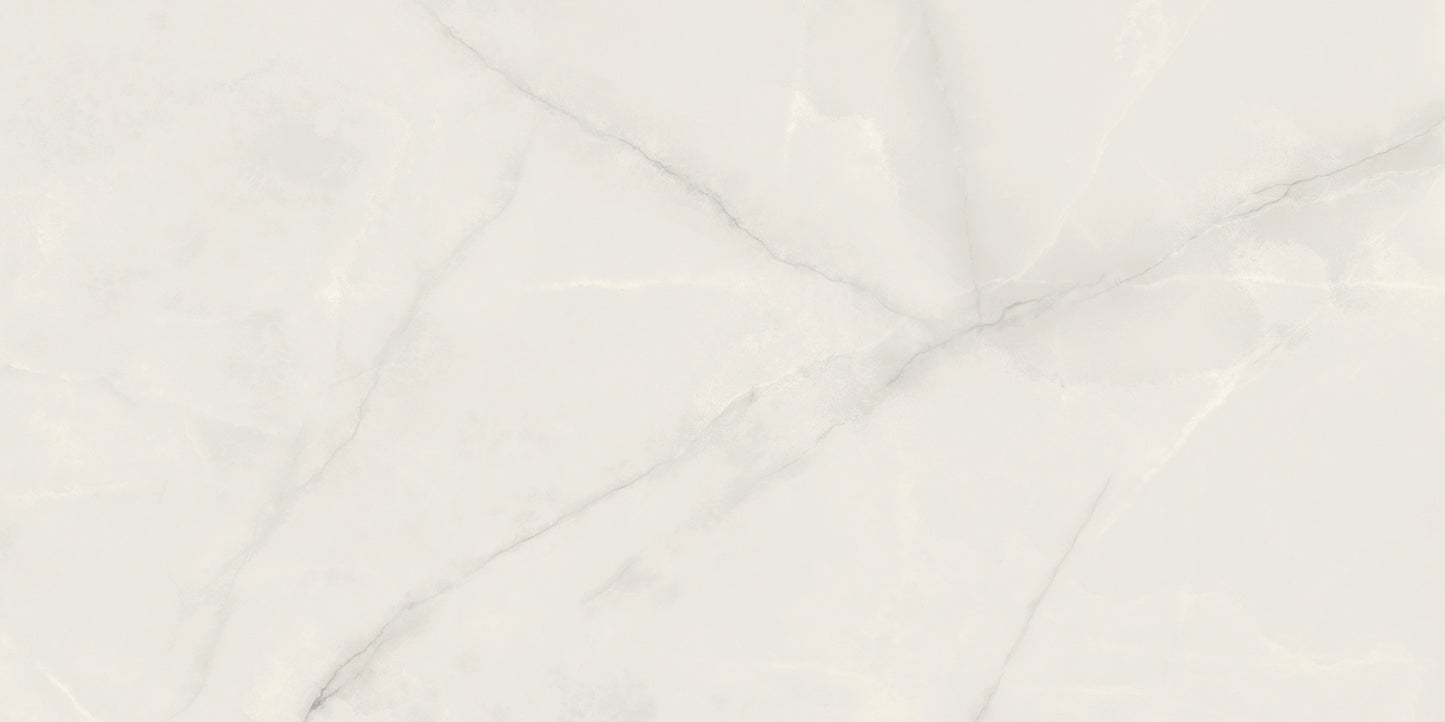 Onix Pearl mat 120x60cm tegel